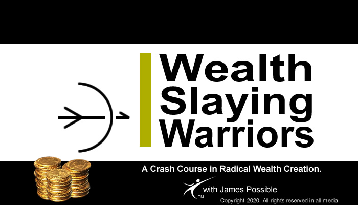 Wealth Slaying Warrior's - A Crash Course in Radical Wealth Creation!